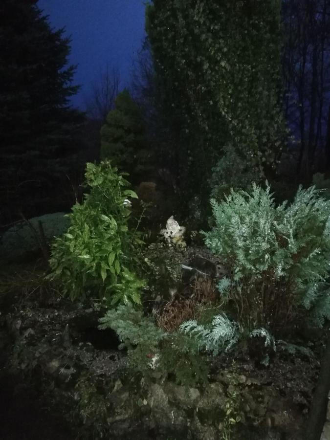Holiday Home Tin Ogulin Buitenkant foto